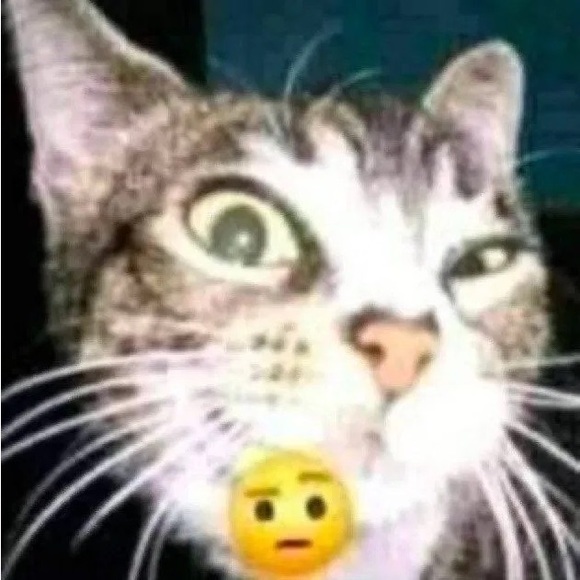albiefinz